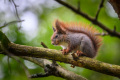 OHN_1599_2048px