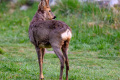 OHM_0681_2048px-2