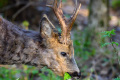 OHM_0919_2048px-2