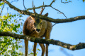 OHN_0061_2048px