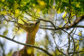 OHN_0067_2048px